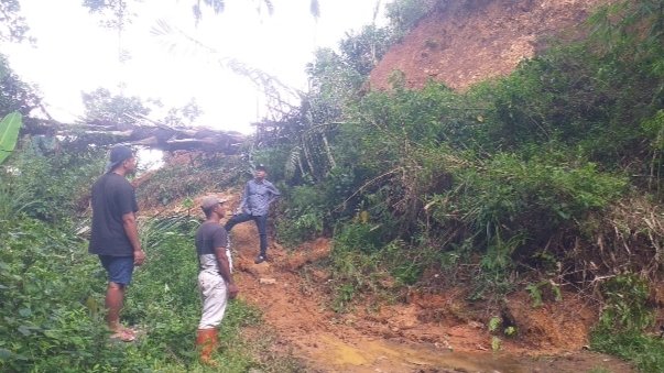 Respon Keluhan Warga, Wakil Ketua II DRPD Manggarai Tinjau Titik Longsor Terparah di Cibal dan Cibal Barat