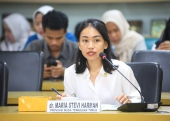 Cegah Kekerasan Terhadap Perempuan dan Anak, Stevi Harman Dorong Pelibatan Mitra Sosial