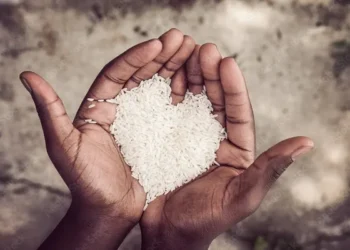 Hingga Desember 2025, Dinsos Manggarai Telah Salurkan 30 Ton Lebih Beras Bantuan Korban Bencana Alam