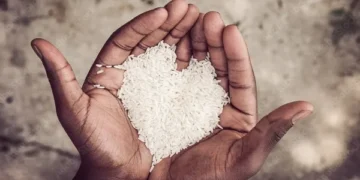 Hingga Desember 2025, Dinsos Manggarai Telah Salurkan 30 Ton Lebih Beras Bantuan Korban Bencana Alam