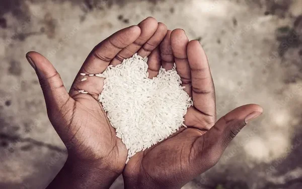 Hingga Desember 2025, Dinsos Manggarai Telah Salurkan 30 Ton Lebih Beras Bantuan Korban Bencana Alam