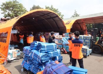 Korban Meninggal Dunia Gempa Flores M7,7 di Manggarai Terus Bertambah Jadi 50 Jiwa